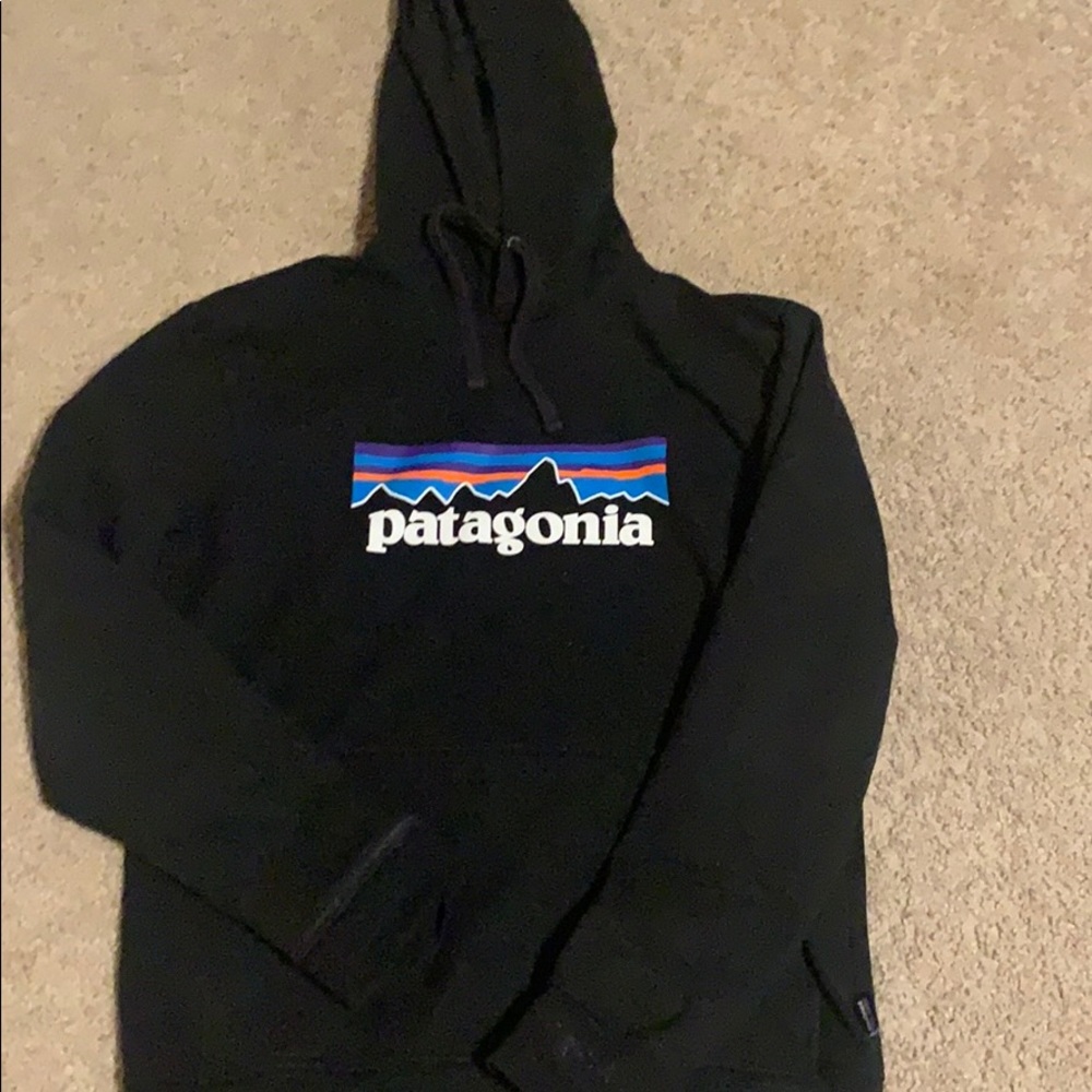 Patagonia Hoodie